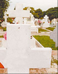 /fotos/cash/20060226/notas_c/buenamoneda.jpg