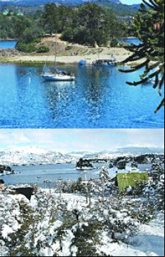 /fotos/turismo/20080504/notas_t/pehuenia.jpg