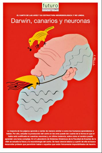 Tapa futuro