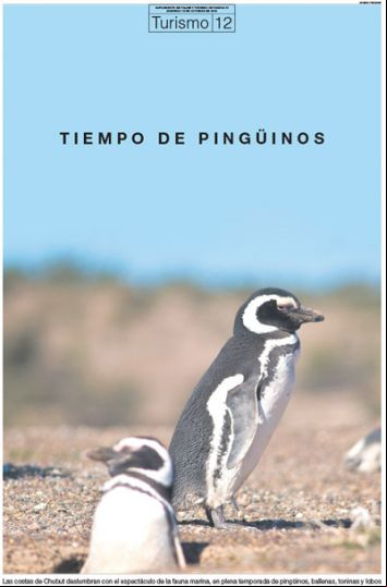 Tapa turismo